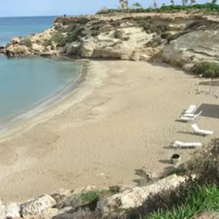 فيلة 15 Chara Cynthiana باراليمني